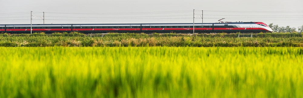Foto: Trasporto sostenibile