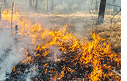 Fiamme distruttrici
