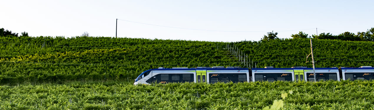 Immagine: Nuova flotta regionale di FS nel verde 